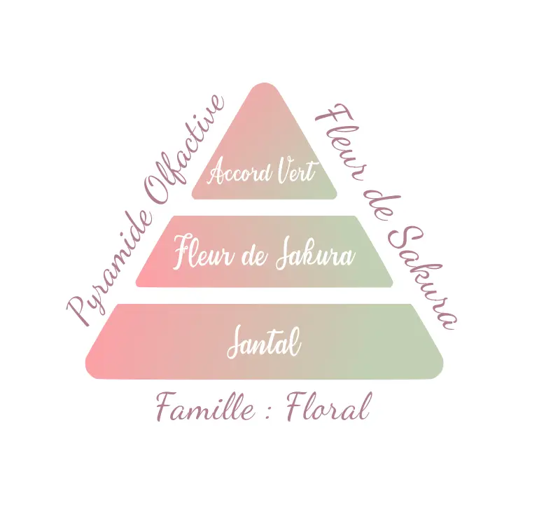 FleurdeSakura.webp