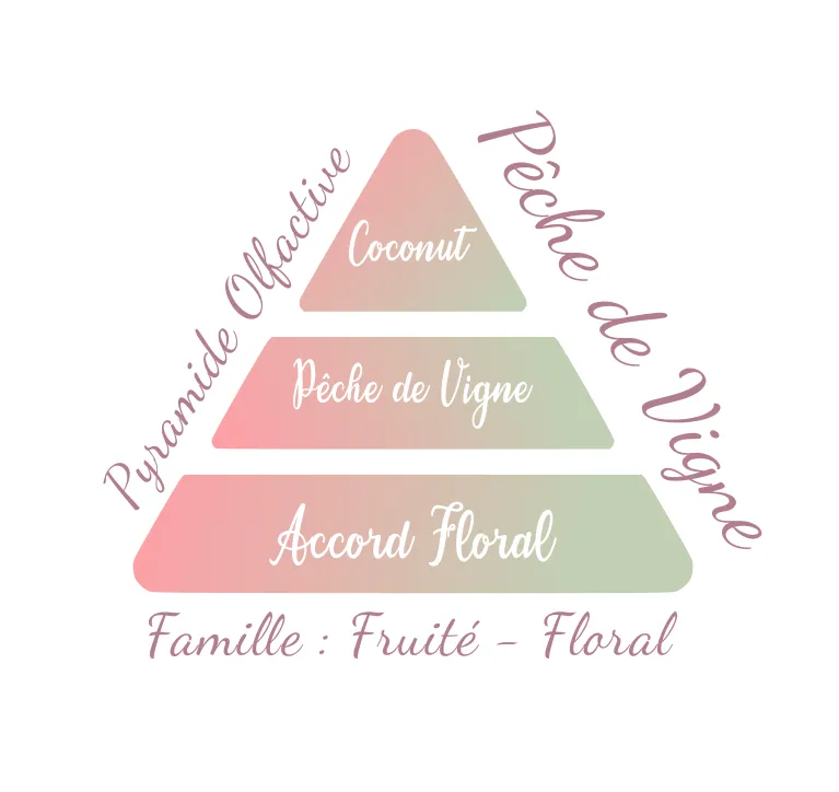 Pêche de Vigne.webp