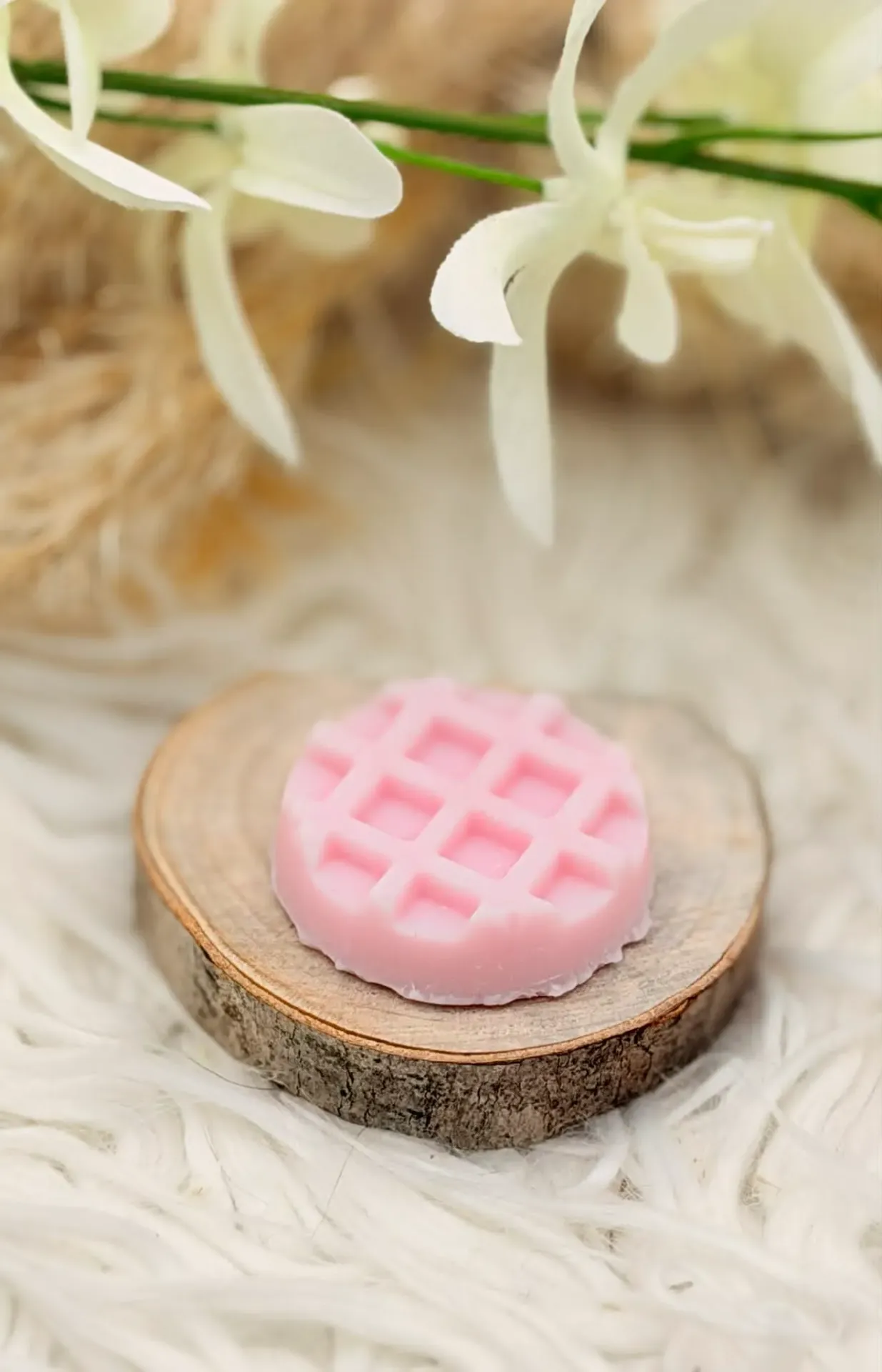Fondant Gaufrette "Musty"