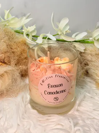 [BGGV-EC] Bougie Chantilly "Evasion Canadienne"