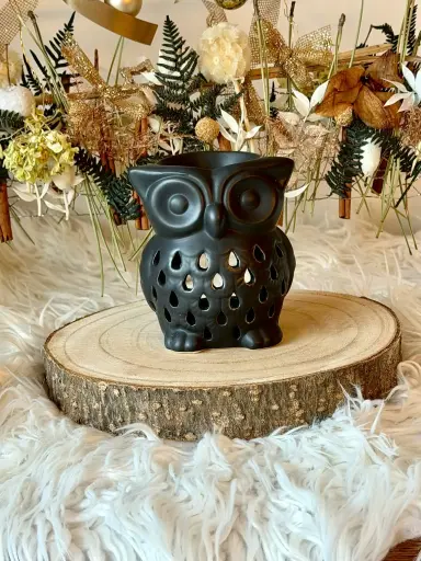 [BFDT-HIBO] Brûleur "Hibou"